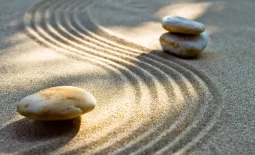 jardin-de-zen-22578681 jardin-de-zen-22578681